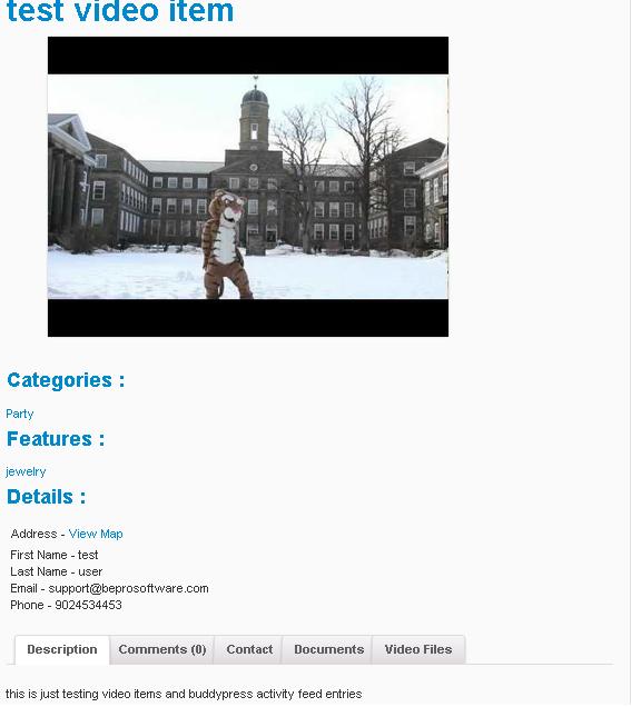 wordpress Video listing Item Page