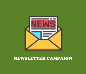 newsletter email campaign